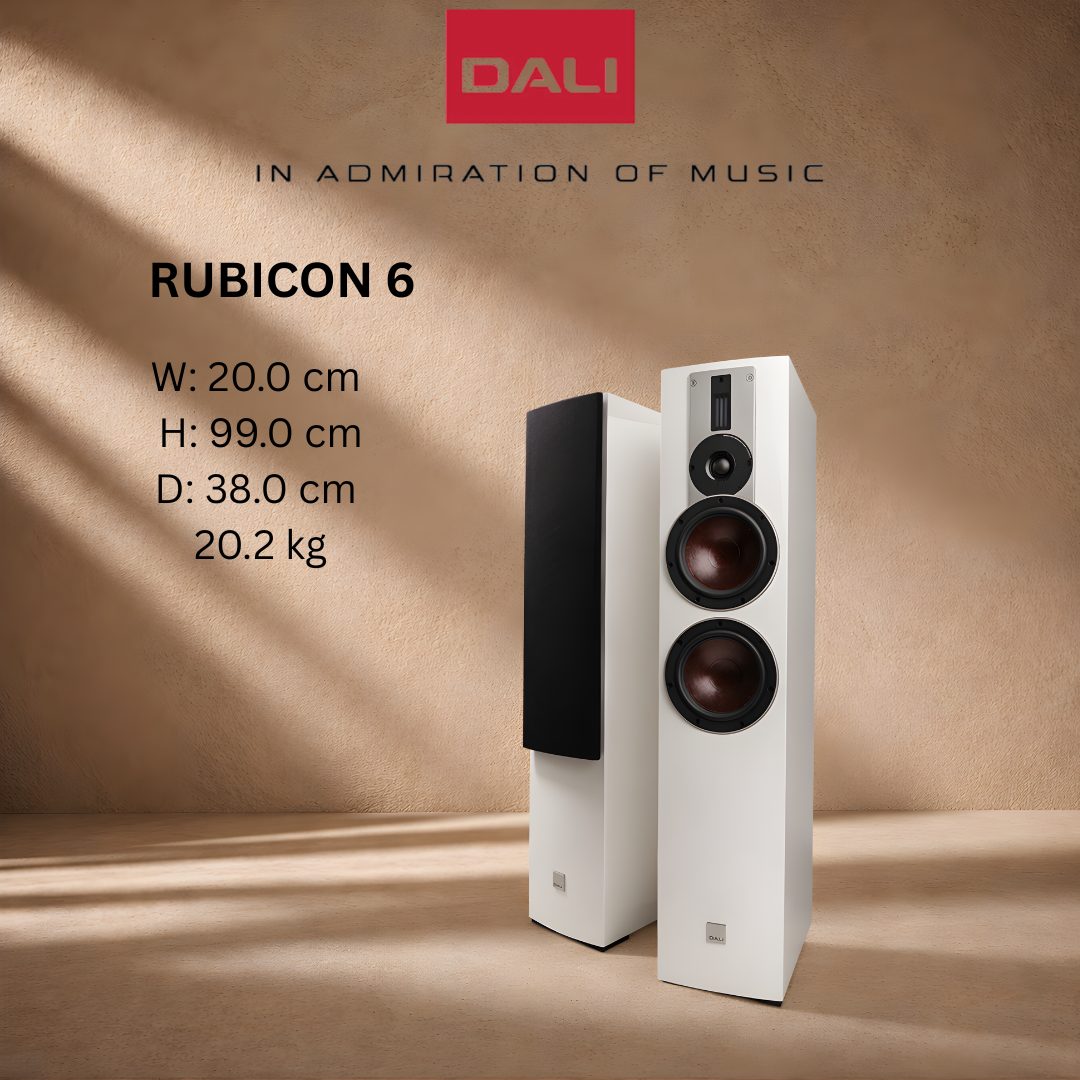 Dali Rubicon 6 1 pair