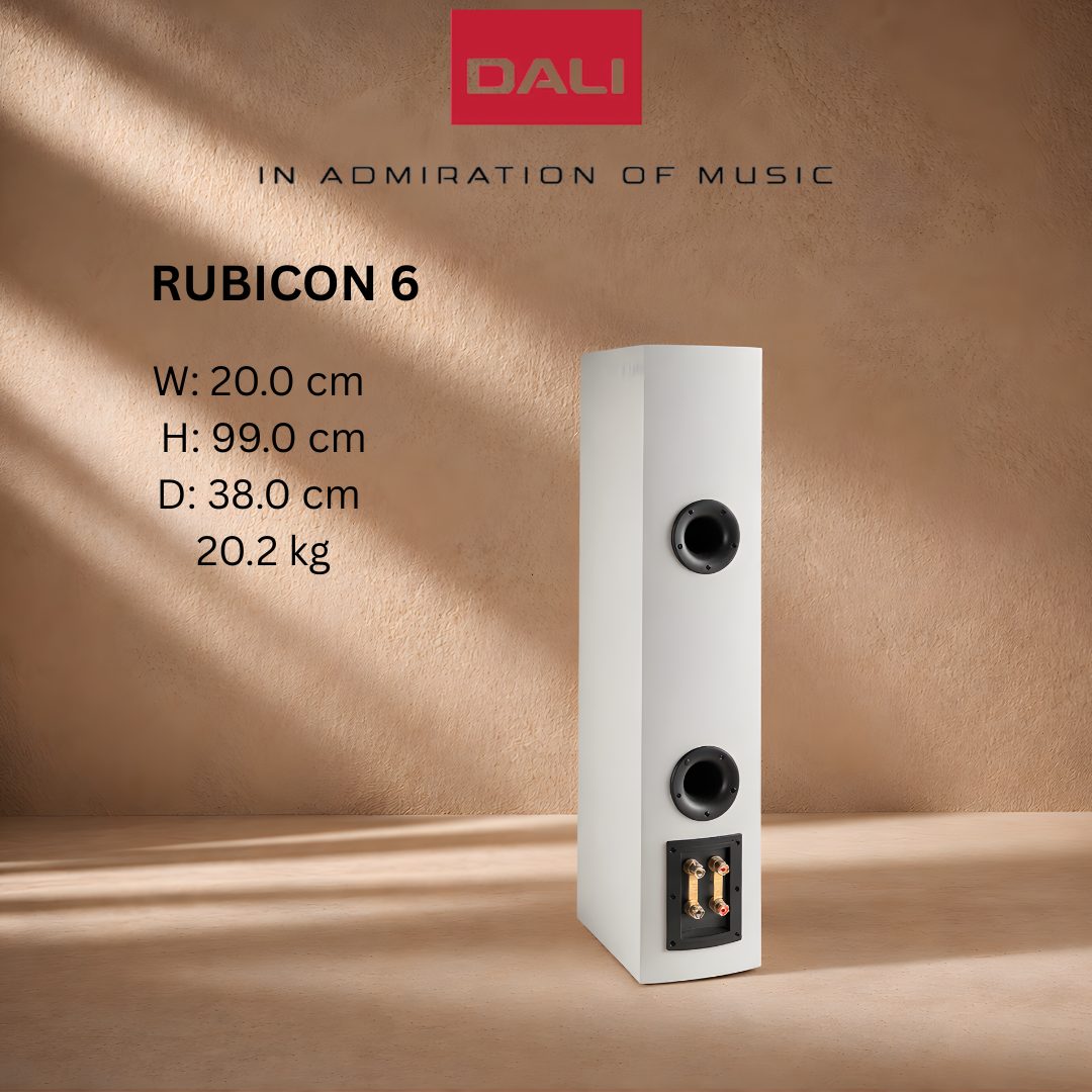 Dali Rubicon 6 Back