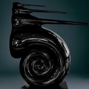 Nautilus