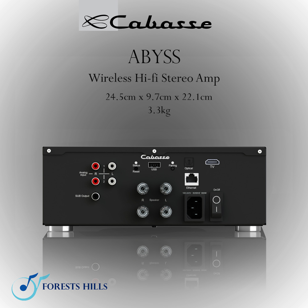cabasse abyss rear copy