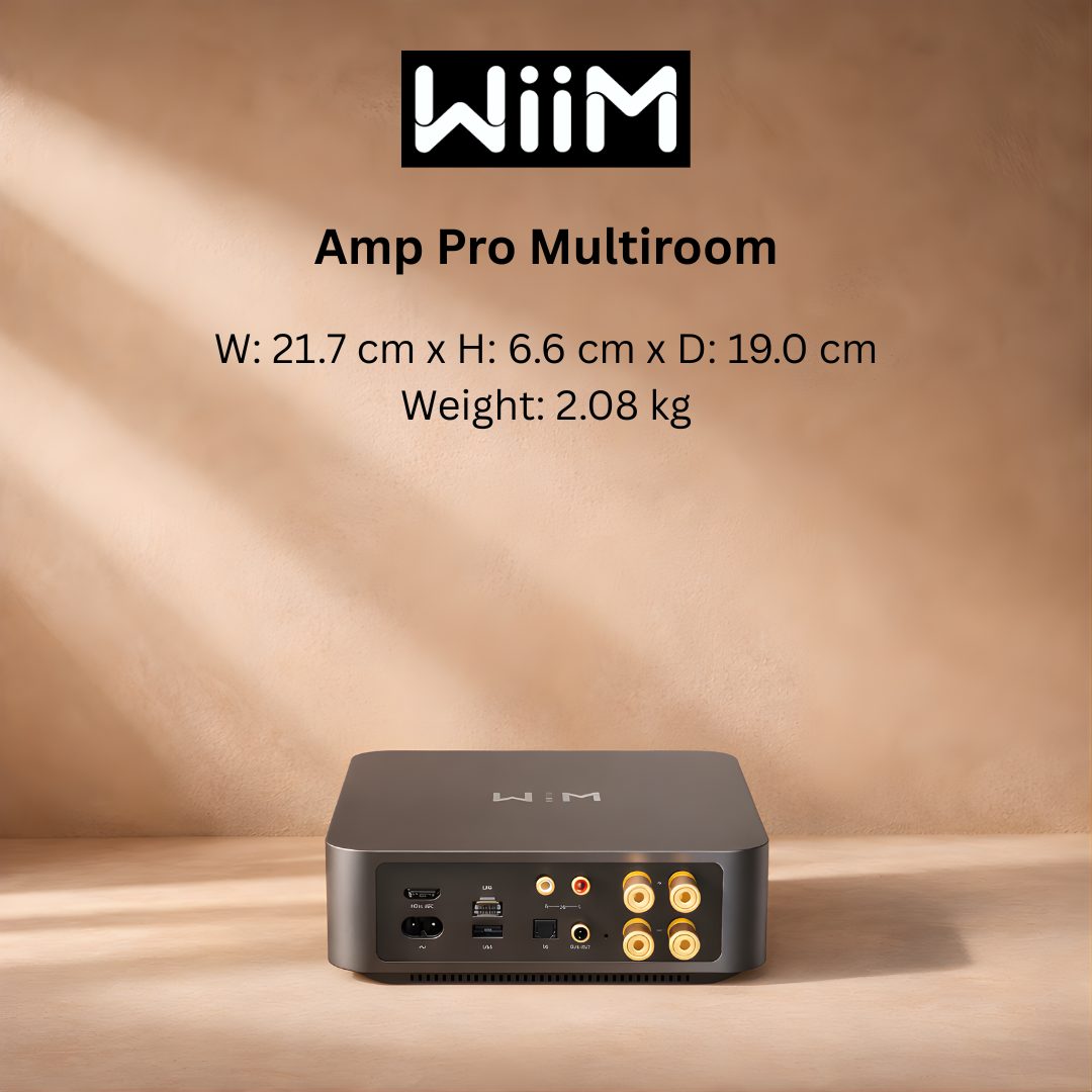Wiim Amp Pro Multiroom Back